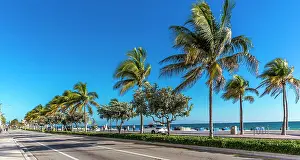 Palms: Palms and Beach, Fort Lauderdale Beach Boulevard