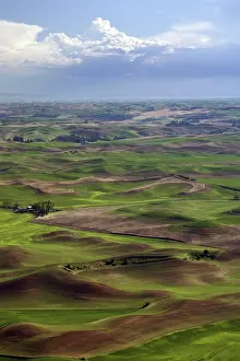 Industries: Palouse Wheat Farming, WA