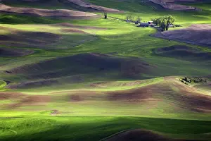 Butte: Palouse Wheat Farming, WA