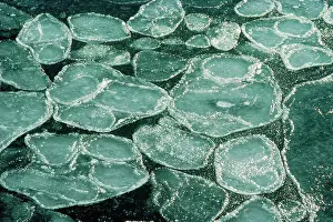 Edwin Mickleburgh: Pancake Ice