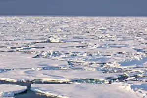 Pancake: Pancake ice, Greenland Sea, East Coast of