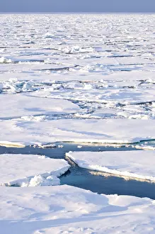 Pancake: Pancake ice, Greenland Sea, East Coast of