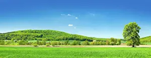 Weser: Panorama, cultural landscape in spring, green fields