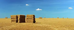 Stubble: Panorama, Endless stubble field with bales of straw