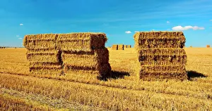 Stubble: Panorama, Endless stubble field with straw bales