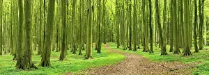 Rgen: Panorama, hiking trail through natural hall-like