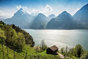 Lucerne: Panorama with lake and mountains, Sisikon, Lake