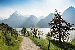 Lucerne: Panorama with lake and mountains, Sisikon, Lake