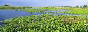 Flooding: Panorama of lakes and channels in the Danube