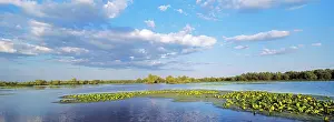 Flooding: Panorama of lakes and channels in the Danube