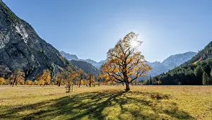 Beam: Panorama, sun star, Karwendel, Groier Ahornboden
