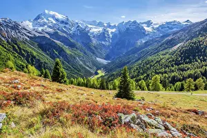 Bolzano: Panorama of the valley with Ortler 3905m and Trafoier