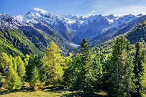 Bolzano: Panorama of the valley with Ortler 3905m and Trafoier