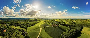 Route: Panorama, vineyards in the wine route region of