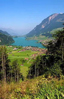 Bachmann: Panoramic from above mountain of beautiful