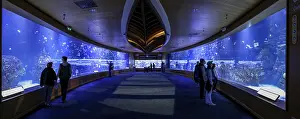 Communities: Panoramic photo of Europe's largest aquarium Aquarium L'Oceanografic (Oceanografic Valencia)