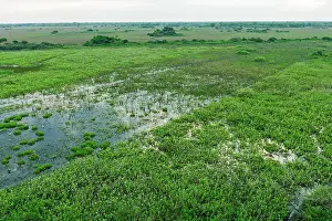 Logged: Pantanal Wetlands, dry season, Mato Grosso, Brazil