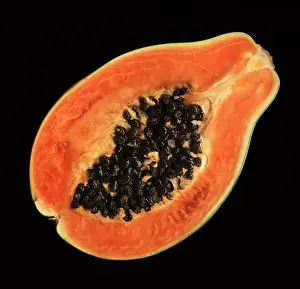 Papaya: Papaya