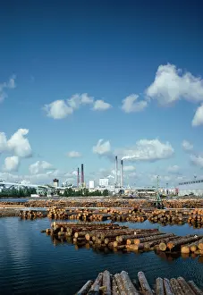 Mills: Paper Mill
