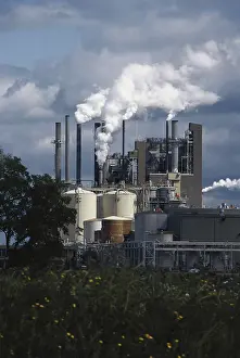 Stacks: Paper Mill