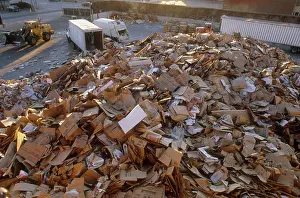 Company: Paper and Cardboard Recycling