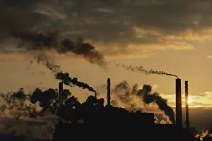 Fumes: Paper Mill Fumes