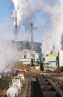 Processing: Paper plant