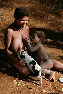 Pigs: Papua New Guinea - Huli woman breast feeding child & piglet