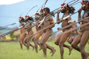 Penis: Papua warriors wearing koteka's with spears attacking