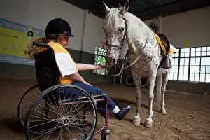 Saddle: Paraplegic woman and horse in a horse therapy center