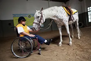 Saddle: Paraplegic woman and horse in a horse therapy center