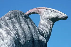Ornithopod: Parasaurolophus