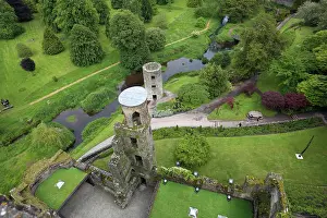 Eire: Keep and park of Blarney Castle, County Cork, Ireland
