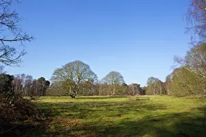 Parkland: Parkland - The Lodge RSPB Nature Reserve