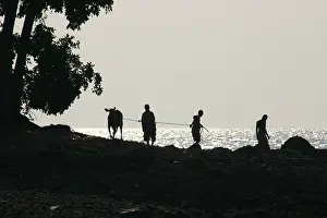 Islets: Pastors on the Flores sea shore Indonesia