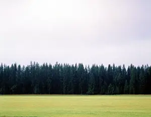 Northwestern: A pasture in Northwestern Montana