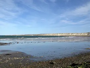 Patagonian: Patagonian coast