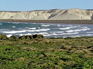 Gravel: Patagonian coast