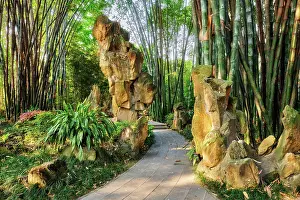 Pavilion: Path in bamboo forest brove in Wangjiang Pavilio
