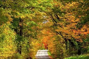 Townships: Path through deciduous forest in autumn, Bromont