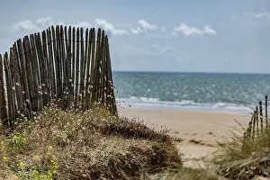 Manche: Path through the dunes to the beach and the sea