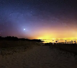 Venus: A path leads to the sea between two palisades planted