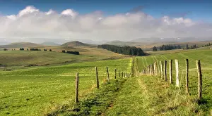 Department: Path between pastures, Cezallier massif, Puy de