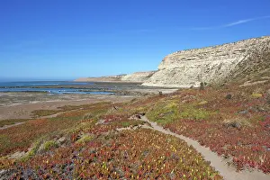 Punta: Path to the sea lions colony, Punta Delgada