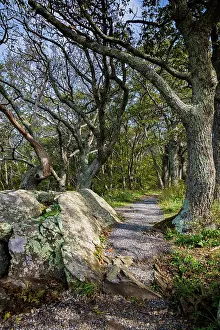 Virginia: Path, Shenandoah, Blue Ridge Parkway, Smoky Mountains, USA