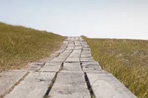 Havaeng: Path trough dunes - Havaeng - Sweden