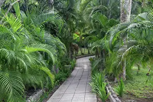 Pathway: Pathway, Hemingway House, Hemingway Museum