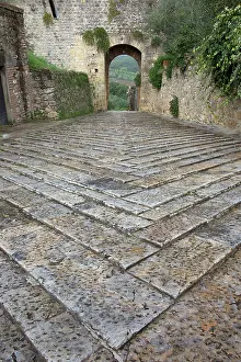 Walkway: Pattern in stones on street and arched walkway