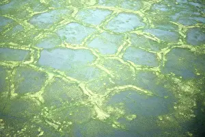 Permafrost: Patterned permafrost