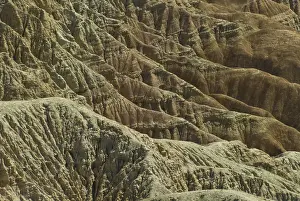 Maze: Patterns in Borrego Badlands